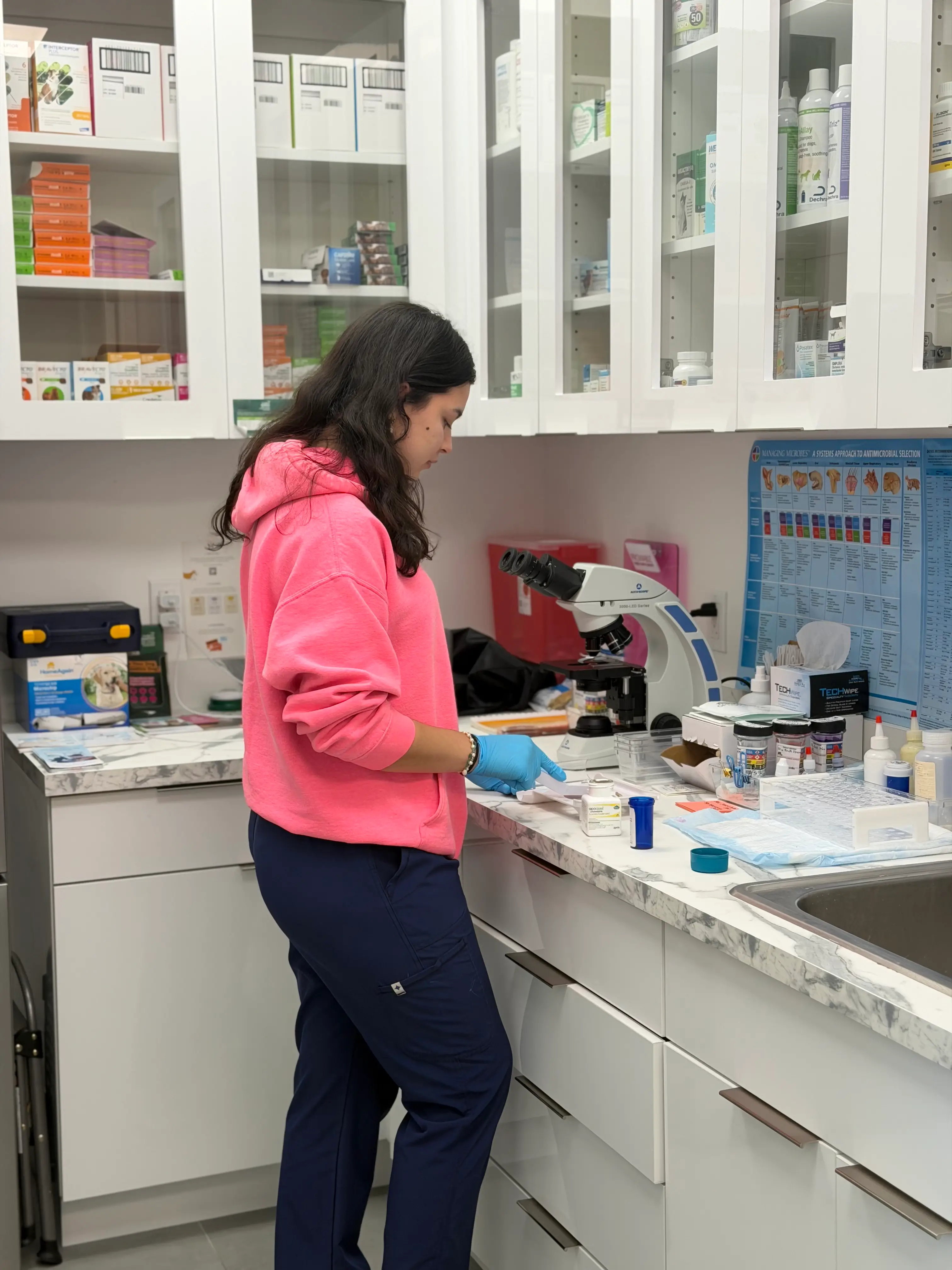 veterinary pharmacy pic - Your Family Vet